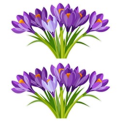 Dekoracja WIOSENNA dwustronna na szybę okno KROKUSY wiosna 2 szt. A4