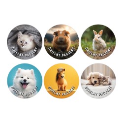 Naklejki Dzielny Pacjent ZDJĘCIA ZWIERZĄT mix 6 wzorów 100 szt