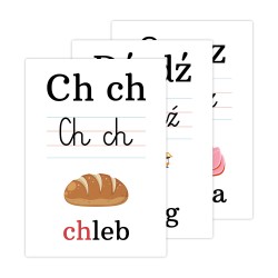Karty edukacyjne Alfabet Plansze Litery foliowane Dwuznaki A5 7 szt