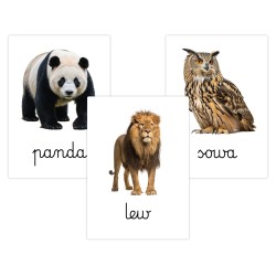 Karty edukacyjne Zwierzęta dzikie i leśne Fiszki dla dzieci A6 32 szt