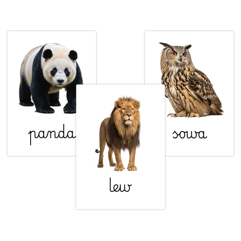 Karty edukacyjne Zwierzęta dzikie i leśne Fiszki dla dzieci A6 32 szt