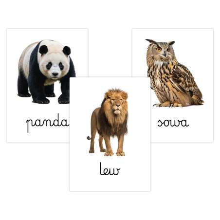 Karty edukacyjne Zwierzęta dzikie i leśne Fiszki dla dzieci A6 32 szt