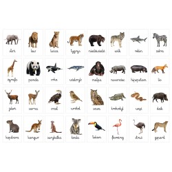 Karty edukacyjne Zwierzęta dzikie i leśne Fiszki dla dzieci A6 32 szt