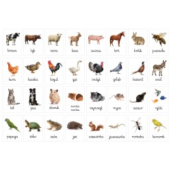 Karty edukacyjne Zwierzęta domowe i hodowlane Fiszki dla dzieci A6 32 szt