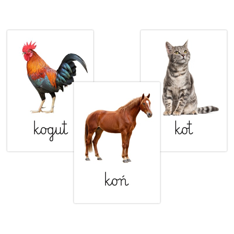 Karty edukacyjne Zwierzęta domowe i hodowlane Fiszki dla dzieci A6 32 szt