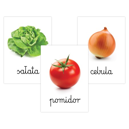 Karty edukacyjne Warzywa Fiszki dla dzieci A6 32 szt