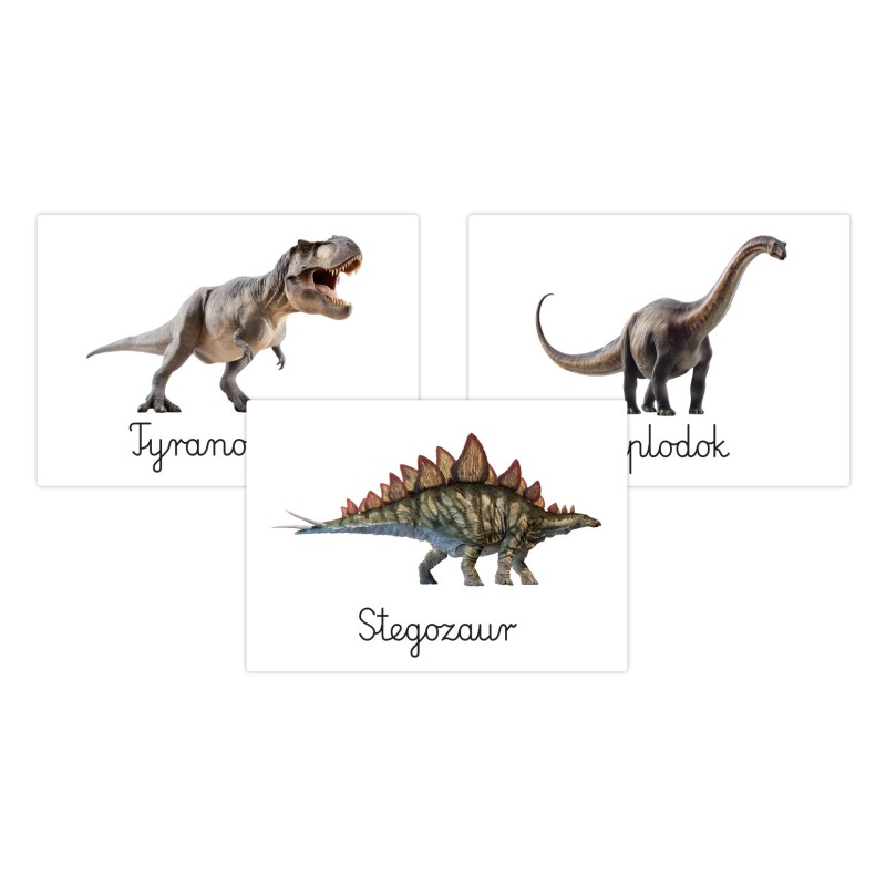 Karty edukacyjne Dinozaury Fiszki dla dzieci Dzień dinozaura A6 32 szt