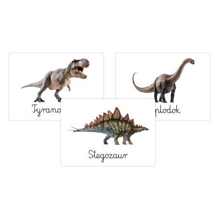 Karty edukacyjne Dinozaury Fiszki dla dzieci Dzień dinozaura A6 32 szt