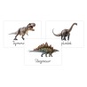 Karty edukacyjne Dinozaury Fiszki dla dzieci Dzień dinozaura A6 32 szt