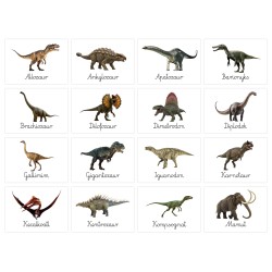 Karty edukacyjne Dinozaury Fiszki dla dzieci Dzień dinozaura A6 32 szt