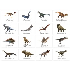 Karty edukacyjne Dinozaury Fiszki dla dzieci Dzień dinozaura A6 32 szt