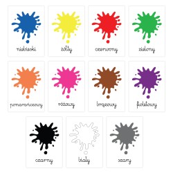 Karty edukacyjne Kolory Plansze foliowane A5 11 szt