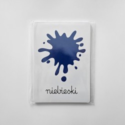 Karty edukacyjne Kolory Plansze foliowane A5 11 szt