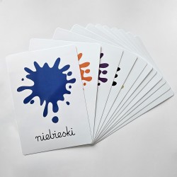 Karty edukacyjne Kolory Plansze foliowane A5 11 szt