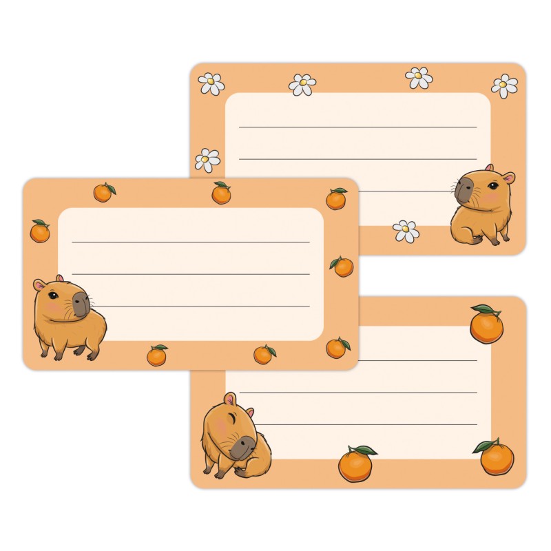 Naklejki szkolne na zeszyty książki 16 sztuk KAPIBARY KAPIBARA